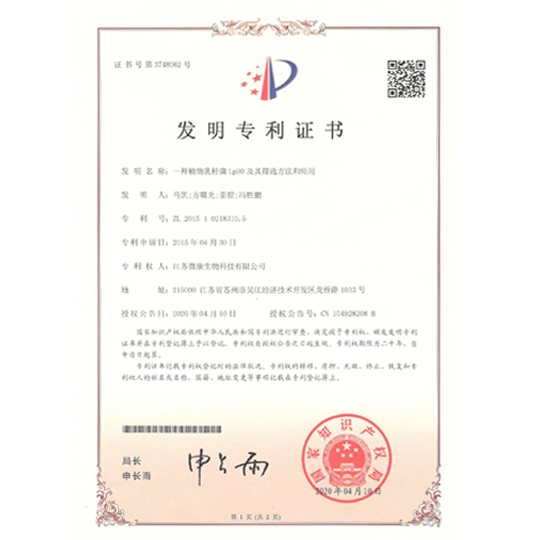 陕西英童——发明专利证书