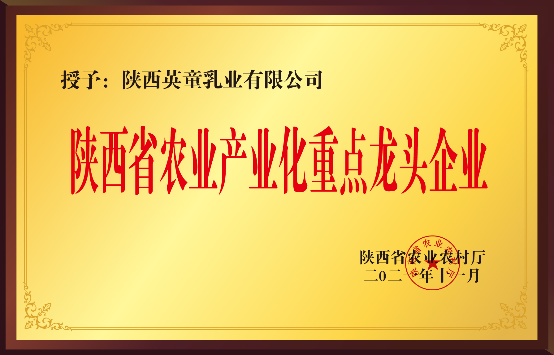 陕西英童——高新技术企业