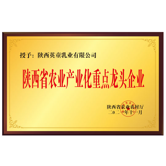 陕西英童——重点龙头企业