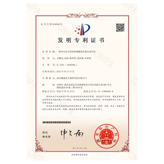 陕西英童——发明专利证书